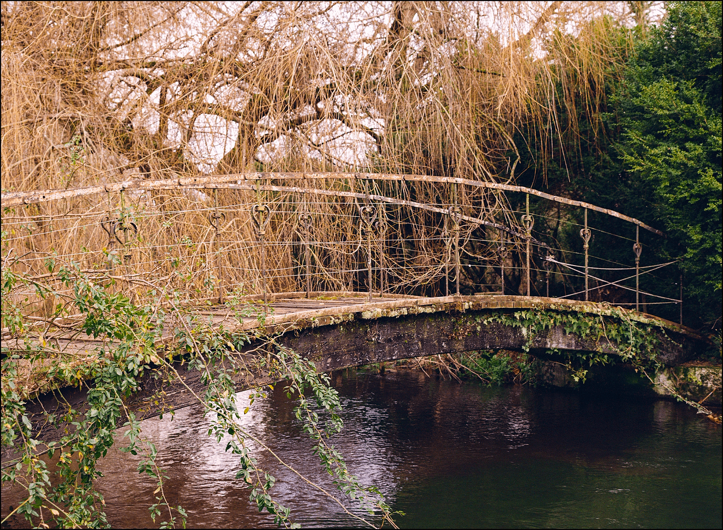 film photography at Mottisfont Abbey by Stephen Paul Young
