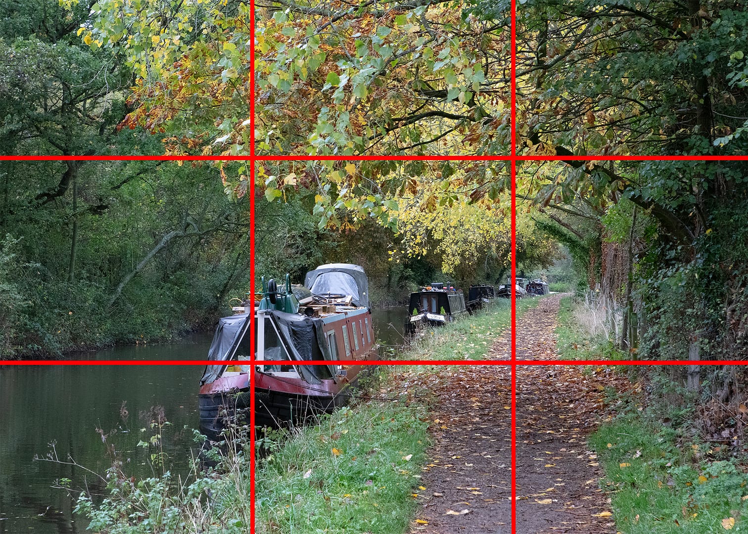 Rule of Thirds in basic Photography rules