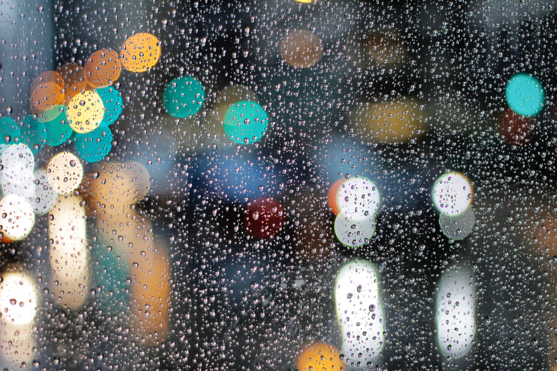 5 Rainy Day Photography Tips - Master the Art