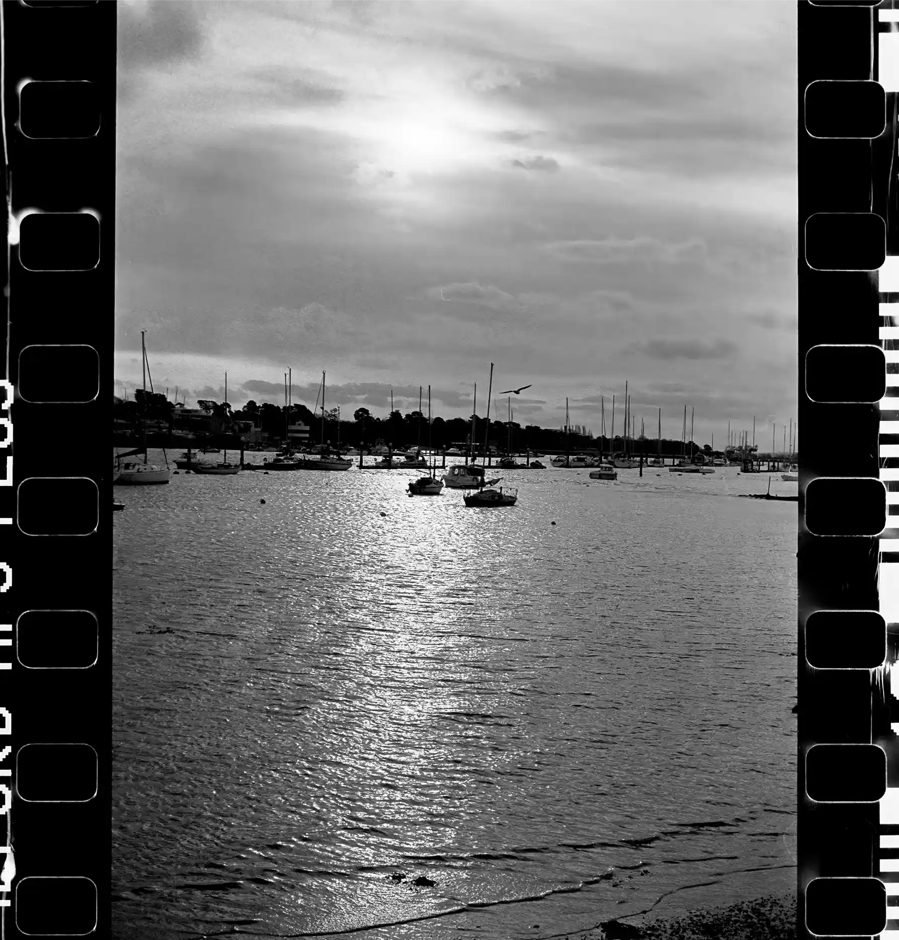 Hamble-le-Rice - Discover a Timeless Photography Charm on 35mm HP5 Film
